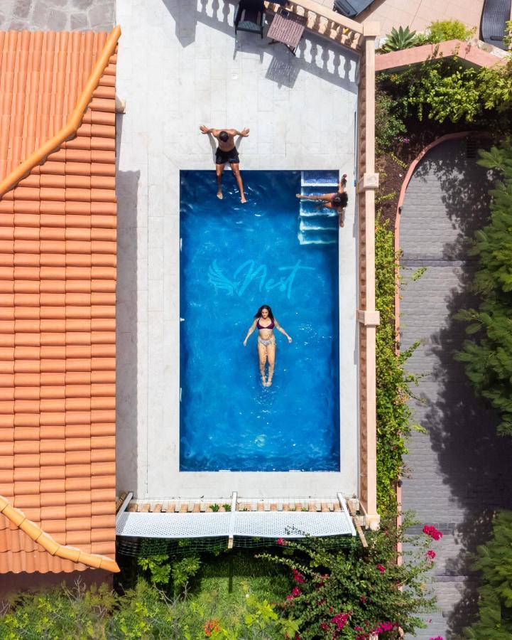 Duque Nest Hostel Costa Adeje  Exteriör bild